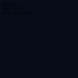 #070C18 - Blue Charcoal Color Image